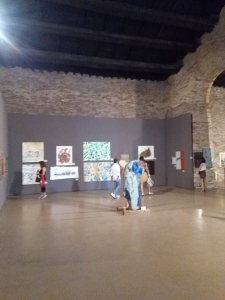 I mille di Sgarbi - I edizione - Cervia - OPere di Fiorangela Filippini